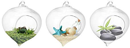 3 Pcs Maceta de Flor Colgante Jarrón de cristal de Vidrio Planta de Terrario Florero Vaso de Vidrio 9,3 * 12 cm Decoración Para Boda Jardín