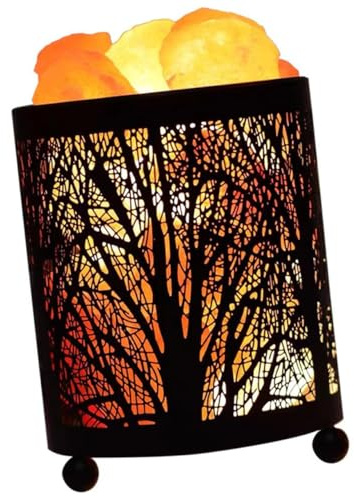 HONMEET Lámpara de Sal Decorativa con Luz de Escritorio Elegante Diseño de Cesto de Hierro Forjado Compacto para Mesilla de Noche Dormitorio