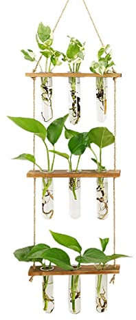 TREEHOLE Terrarium en verre à suspendre avec 3 supports en bois rétro pour plantes hydroponiques, jardin, maison, bureau - 10 tubes à essai (3 couches)