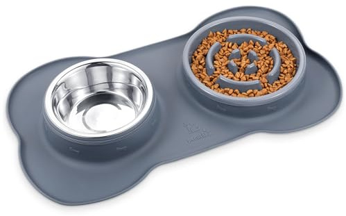 Pecute Comedero Perro y Gato, 3-en-1 Comedero Perro Antivoracidad, Bebedero para Gatos Perros Acero Inoxidable Extraíble de Acero, Base de Silicona Antideslizante (500ml/16.9oz + 2.1 Tazas)