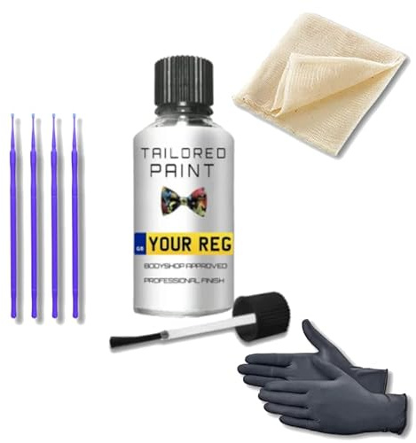 Mixed by Reg Registration Plate Car Touch Up Paint Kit All In 1 Formula Perfect Colour Match Car Paint Check