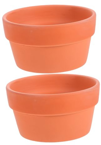 TOYZFRIENDY 2pezzi Contenitori in Terracotta Per Piante Succulente e Bonsai Con Foro Di Drenaggio Adatti Per Piante Da Interno e Balcone