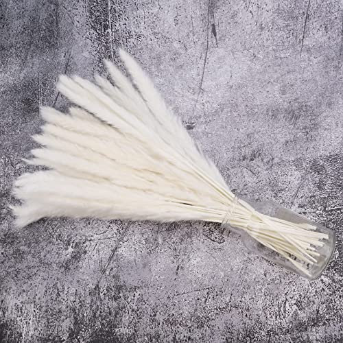 40cm Getrocknetes Pampasgras Weiß 30 Stück, Getrocknet Trockenblumen Vasen Deko, Kunstblumen Boho Deko Wohnzimmer Schlafzimmer Balkon Zimmer Tischdeko Hochzeit Vase Trockenblumenstrauß
