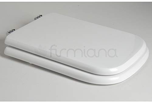 Horganica Copriwater Coprivaso Compatibile per Serie Conca Azienda Ideal Standard - Vari Colori Disponibili (Champagne)