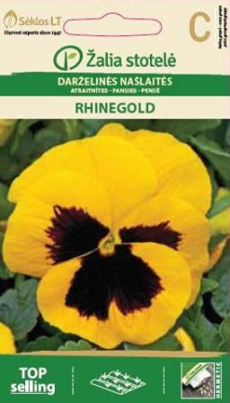 Seklos LT | PENSÉE RHINOR | Graines de fleurs | Cultivée comme plante bisannuelle | Planter des graines | Ils conviennent au lit, sur le balcon, pour les tombes 1 paquet