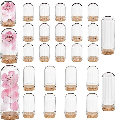CRASPIRE Lot de 25 cloches en verre - 3 tailles - Mini présentoirs avec base en liège - Flacons - Cabochons de terrarium - Décoration en bois pour fleurs préservées, Noël, loisirs créatifs