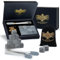 WHISISKEY Whisky Accessories - 12 Whiskey Stones - Whiskey Gift Set for Men - Reusable Ice Cubes