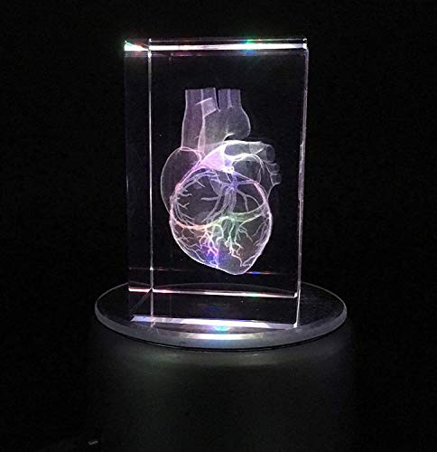 YYSDH Coeur Humain Anatomique modèle 3D Paperweight (Laser Gravé) en Science Verre Cristal Cube LED Cadeau Inclus de Base (3.1X2x2 Pouces)