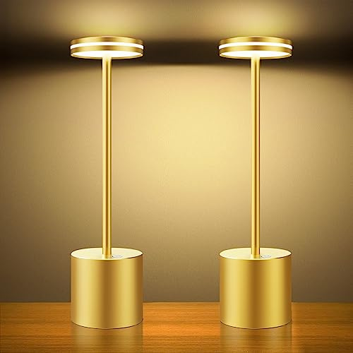 Hapfish Lampes de Table Rechargeables 5000mAh 2PCS, lampe sans fil Dimmable