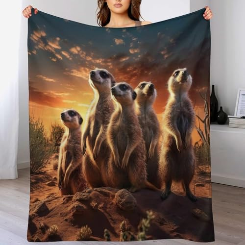 PAZZK Erdmännchen Decke, Flannel Tagesdecke Couchdecke Sesseldecke Wohndecke Vier Jahreszeiten Decke Kuscheldecke Sofadecke Mit Muster,（130×150cm）