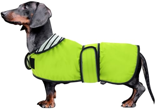 MOREZI Hunderegenmantel mit Reflexstreifen, Regen-/wasserdicht, verstellbare Weste, geeignet für kleine und mittelgroße Hunde wie Dackel-Grün-L