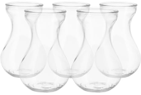 DECHOUS Lot de 5 Vases à Fleurs en Verre Transparent Vases Hydroponiques Compacts pour Plantes D’Intérieur Jardinières en Verre Lisse pour Décoration de Table et Bureau Forme Jacinthe