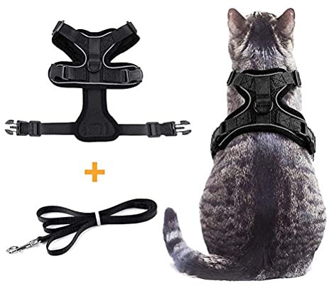 Verstellbares und Ausbruchsicheres Katzengeschirr mit Leine, Zum Spazierengehen, Sichere Westengeschirre, Ideal Katzen, Hochwertiges Haustierzubehör (Schwarz)