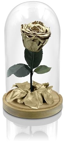Aluisi Fiori – Rosa La Bella e La Bestia Oro – Base in Legno Naturale Senza LED – Rosa Stabilizzata Simbolo di Amore eterno e Valore, Perfetta per omaggi di Classe e Ambienti ricercati.