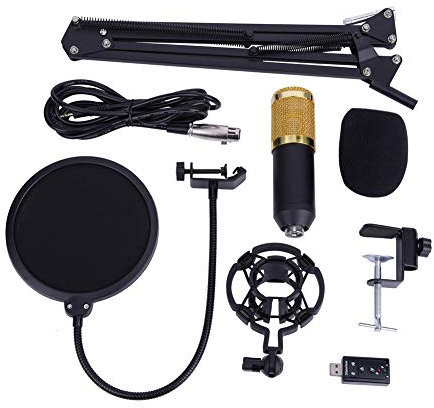 Wakects BM800 Microphone à condensateur avec Filtre, Bras Support Shock Mount, pour Studio d'enregistrement Podcasting Broadcasting