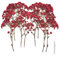 SUNOYA Fiori Secchi Decorativi, Fiori Secchi Naturali, Gypsophila Essiccata, 120 Pezzi Rami Di Gipsofila, Fiori Secchi Pressati Naturali, Fiori Secchi per Vasi Da Tavola, Decorazione Floreale Fai Da