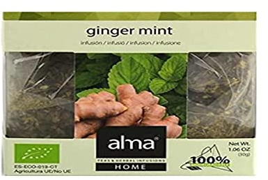 ALMA HOME Jengibre Menta Eco 30GR