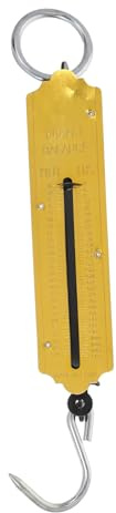 FOMIYES 2 Pezzi Portatile con Gancio e Molla Strumento Pesatura per Design Compatto e Maneggevole Materiale Sicuro e Durevole
