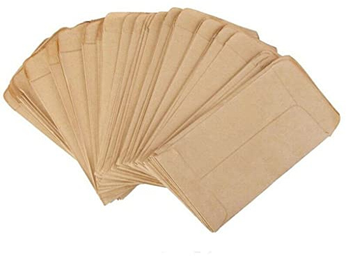 EVANEM 100 Buste di Carta for Semi, Buste for Sacchetti da Giardino, for Piante, Frutta, Cibo, tè, Piccoli Regali.