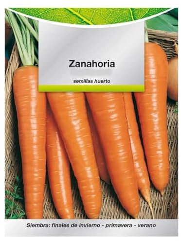 Semillas Naturales de Zanahoria de Nantes o Daucus Carota Planta para Ensalada