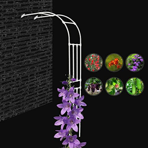 Halbseitiger Gartenbogen Rosenbogen aus Metall für Kletterpflanzen Rosen, Platzsparender Halbbogen als Rankhilfe, Stabiler Stahlrahmen für Wandmontage, Garten, Terrasse oder Hof(Weiß,W240XH240CM)