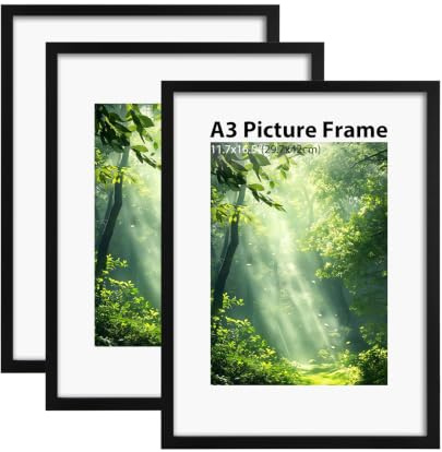 ZORVENIX 3er Set Bilderrahmen A3(29,7x42 cm), Holzrahmen mit Acrylglas und Passepartout, Schwarz
