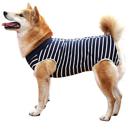 Dotoner Krankenhausanzug für Hunde und Katzen, Wundschutz für Welpen, medizinische Kleidung, nach Operationen, Ersatzkragen und Kegel (XL, blau gestreift)