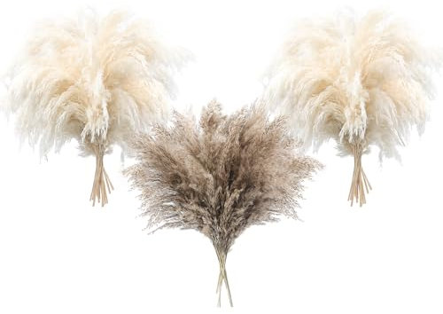 36 PCS Pampas Grass Boho Decor Fluffy Pompas Grass Natural Dried Pampas Grass Small Short Pampass Bulk for Boho Home Decor Wedding Decor Table Decor （24pcsWhite+12pcs Natural）