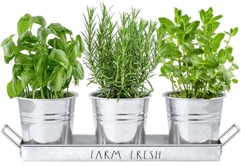 DAYYET Juego de 3 macetas de jardín de hierbas de granja con bandeja, macetas de metal para alféizar de ventana con drenaje para macetas de exterior o interior, juego de 3, galvanizadas