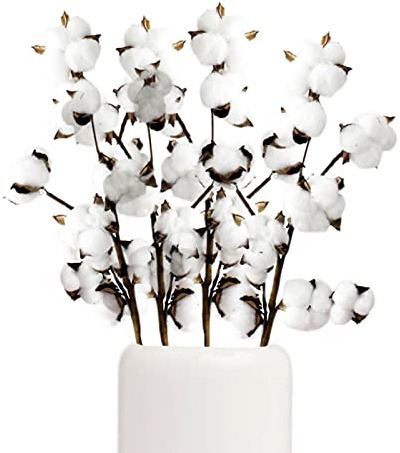 jiuzcare Baumwolle Trockenblumen, Getrocknete Blumen Weiß, Zweige für Vase, Deko AST, Bauernhausstil, Hochzeit, Wohnzimmer, Schlafzimmer, Esszimmer, Party, Tischdeko (4 Pack 10 Balls, 40PCS, 45 cm)