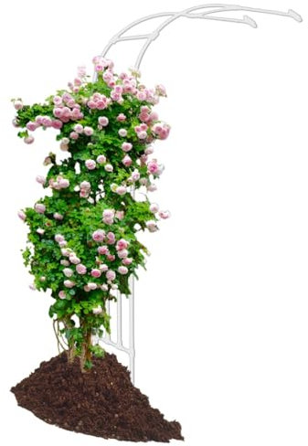 Arche De Jardin Demi-Côté Arche Jardin pour Rosiers Plantes Grimpantes Metal Arceau à Rosiers Tonnelle De Jardin Robuste Demi-Arc pour Jardin Terrasse(Noir,270cm x 240cm/8.9ft x 7.9ft)