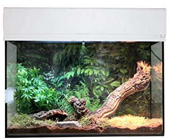 Lucky Reptile Leopardgecko Starter Kit 80 cm - högkvalitativt Gecko Terrarium Komplettset för uppfödning och permanent hållning av geckos - Starter Set Leopard Gecko för nybörjare i vit
