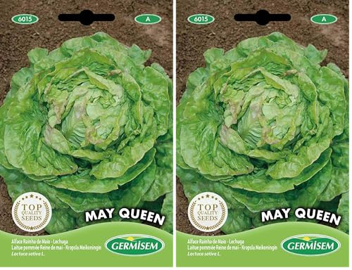 Germisem May Queen Semi di Lattuga 5 g (Confezione da 2)