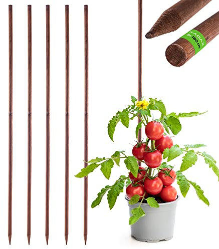 KADAX Tuteur en bois imprégné pour plantes grimpantes - Résistant aux intempéries - Tuteur de fleurs - Treillis - Piquets en bois - 5, 28 mm x 180 cm
