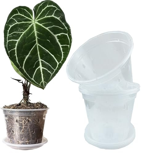 Meboem Pots de fleurs transparents de 17 cm avec trous et soucoupes pour orchidée tropicale, Anthurium, Clarinervium Monstera (6, 17 cm avec soucoupes)