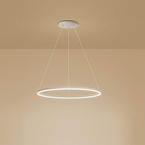 AIRUI 1-Licht Single Circle Pendelleuchte Nordic Modern Ring Lüster Abgehängt Verstellbar LED Hängelampe Für Wohnzimmer Schlafzimmer Esszimmer,White+Warm White-80CM 50W