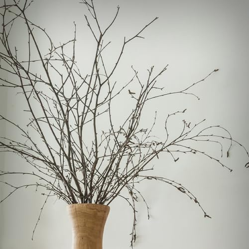 Maasechs 40 Pcs 31 Real Birch Branches for Tall Vases Long Natural Tree Branches for Decorations Decorative Real Twigs Sticks for Table Centerpiece DIY Crafts Arrangements