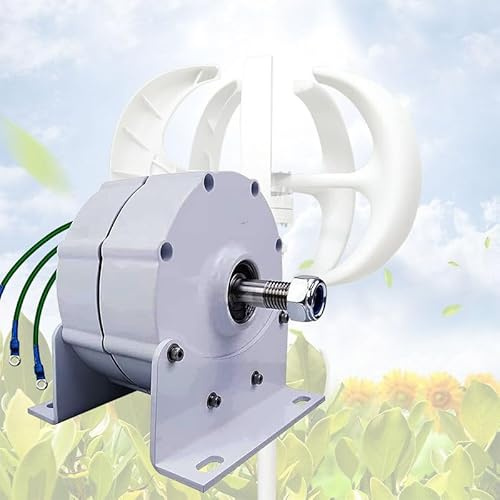 Generador de bajo RPM de 10000 W, 12 V/24 V/48 V/110 V/220 V, alternador sin escobillas de alta eficiencia para soluciones de energía de viento, turbina de agua y motores diésel