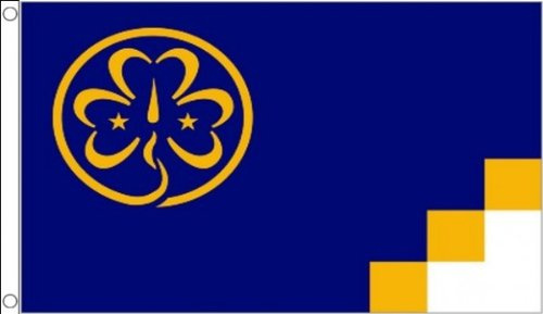 AZ FLAG - Bandiera Scout Guide e Illuminatrici - 90 x 60 cm - Bandiera Associazione Mondiale di Guide E Illuminatrici 100% Poliestere Con Occhielli In Metallo Integrati - Padiglione 50 g