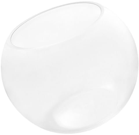 BCOATH Runder Glasfischbowl Für Wasserpflanzen Dekorative Vase Für Kleine Fische Und Hydroponik Transparentes Design Für Und Büro