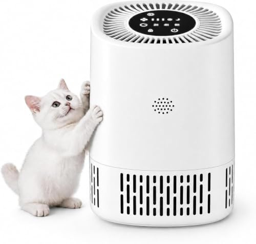 Air Purifier for Bedroom, H13 HEPA, 3 Speeds | Ionizer, Child Lock, Sleep Mode, CADR 102 (60 CFM) for 15m², Odors Dust Allergens Smokers Pollen Pet Hair