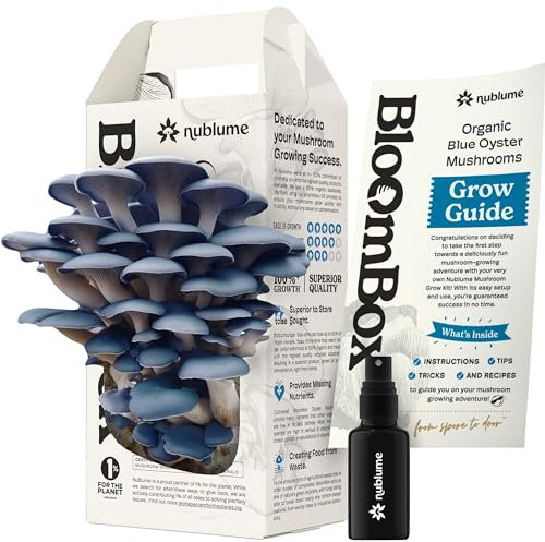 Nublume Kit de culture de pleurotes bleues biologiques | Cultivez vos propres champignons frais gastronomiques à la maison | Kit de culture de champignons d'intérieur comestibles Excellent cadeau pour