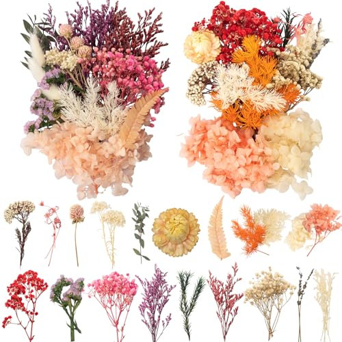 LAUMOE 2 Sätze Trockenblumen, Trockenblumen zum Basteln, Getrocknete Blumen Deko für Kunst Basteln Dekoration