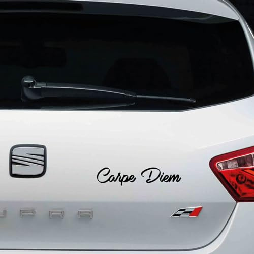 Pegatina Vinilo de Corte Pegatina Carpe Diem 20 x 4,5cm (Blanco mate)