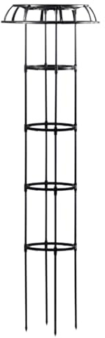 Trewing Rose Trellis - Soporte de plantas de jardín altas, marco de vid de frambuesa | Jaula de plantas de metal en forma de paraguas, enrejado de arbusto de flores resistente para patio, torre de pla