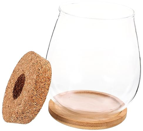 Toddmomy 1satz Terrarium Glasvase Mit Bambusunterlage Transparentes -landschaftsgefäß Für Pflanzen Und Blumen Für Zuhause Büro Und Garten