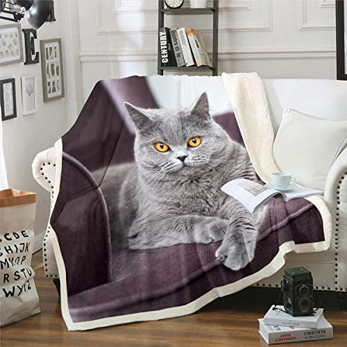M?dchen Katze Kuscheldecke 130x150cm Haustier Katze Muster Wohndecke Netter K?tzchen Druck Flanell Fleecedecke 3D Tier Thema Couchdecke