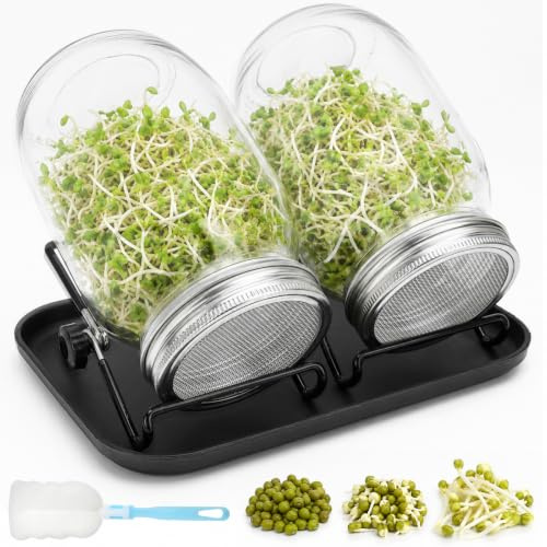 VDSTAR Sprossen Keimglas 2er Set keimgläser für Sprossenglas Sprouting jar