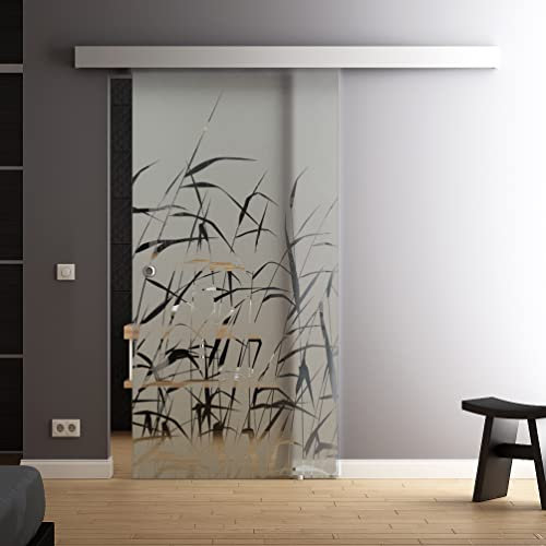 Glas-Schiebetür 775x2050 mm Schilf Gräser Sadora Slimline-System komplett Laufschiene und Stangengriff eckig Schiebetür aus Glas für Innenbereich
