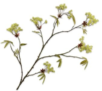 Silk-ka Kunstblume – Seidenblume, Ahornzweig, grün, 110 cm